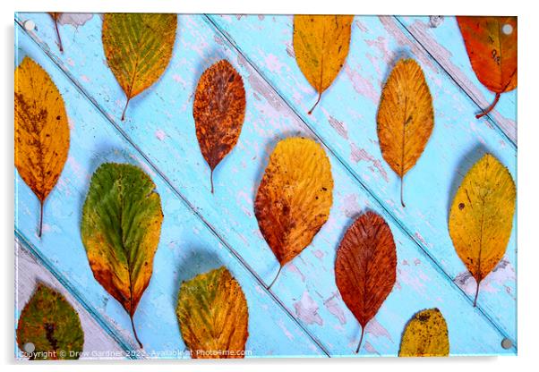 Autumnal Leaves Acrylic by Drew Gardner