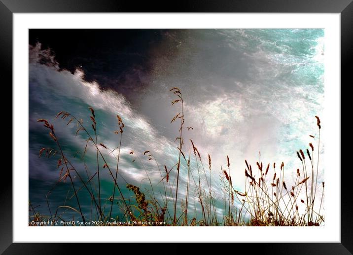 Rushing Water Flowing behind Fronds Framed Mounted Print by Errol D'Souza