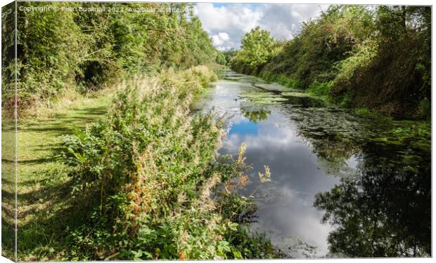 Grantham Canal Lincolnshire England Canvas Print by Pearl Bucknall