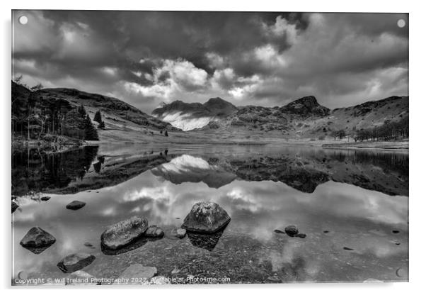 Lake District - Blea Tarn. Mono Acrylic by Will Ireland Photography