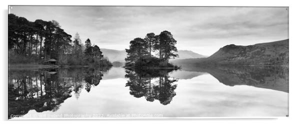 Lake District - Otter Island on Derwent Water Acrylic by Will Ireland Photography
