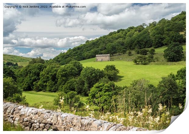 Upper Wharfedale Yorkshire Dales National Park  Print by Nick Jenkins