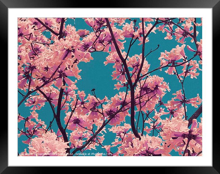 Colorful Floral Leaves Background Framed Mounted Print by Daniel Ferreira-Leite