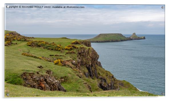 Worms Head at Rhossili on Gower Acrylic by RICHARD MOULT