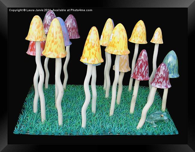 Toadstool and Frog garden ornaments. Framed Print by Laura Jarvis
