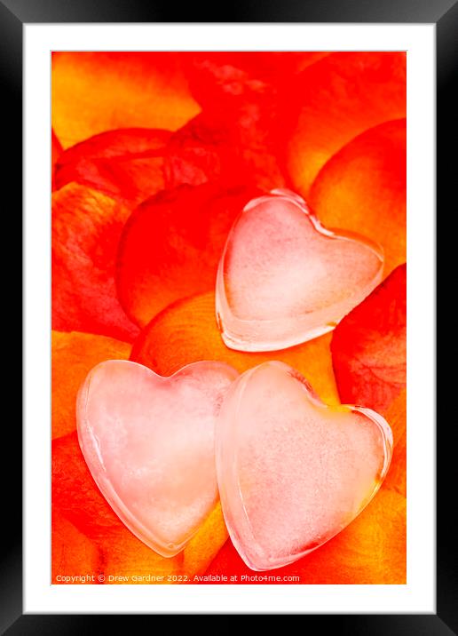 Ice Cold Hearts Framed Mounted Print by Drew Gardner