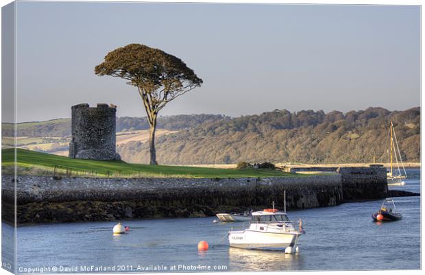 Strangford Tower Canvas Print by David McFarland