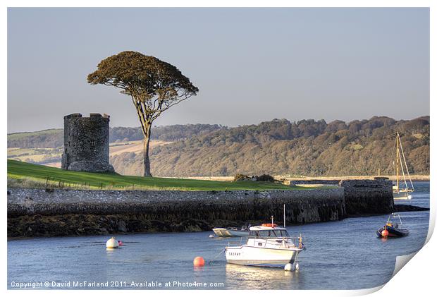 Strangford Tower Print by David McFarland