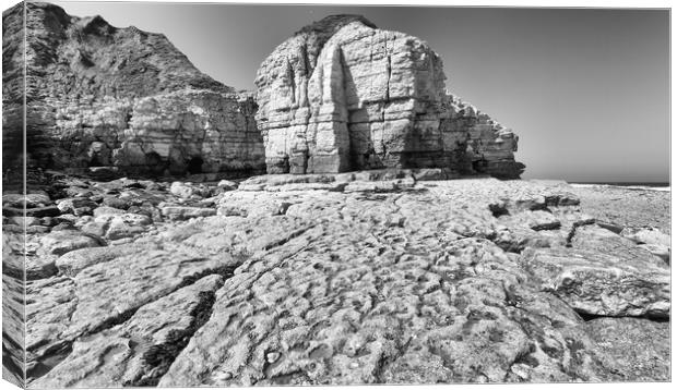 Thornwick Bay.  Canvas Print by Mark Godden