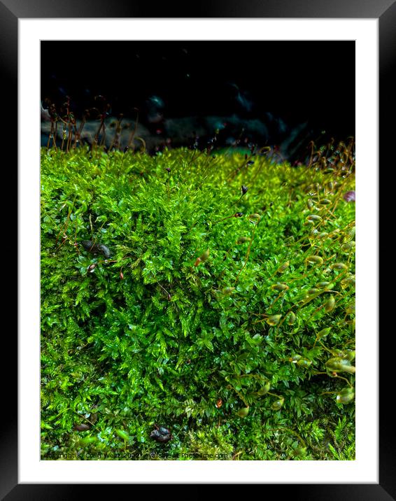Outdoor grass Framed Mounted Print by Craig Weltz