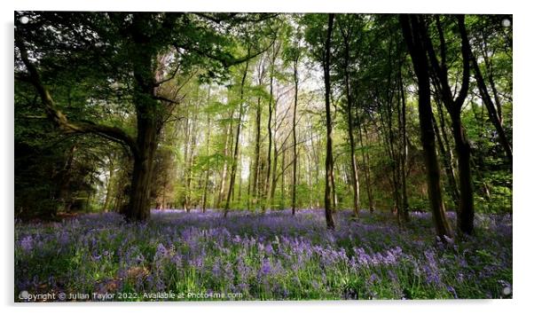Bluebells in the Wood Acrylic by Jules Taylor