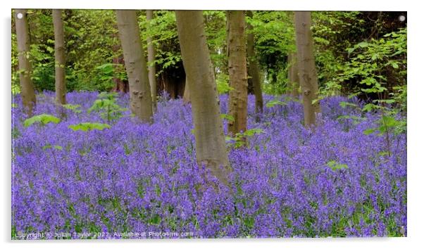 Bluebells in Spring Acrylic by Jules Taylor