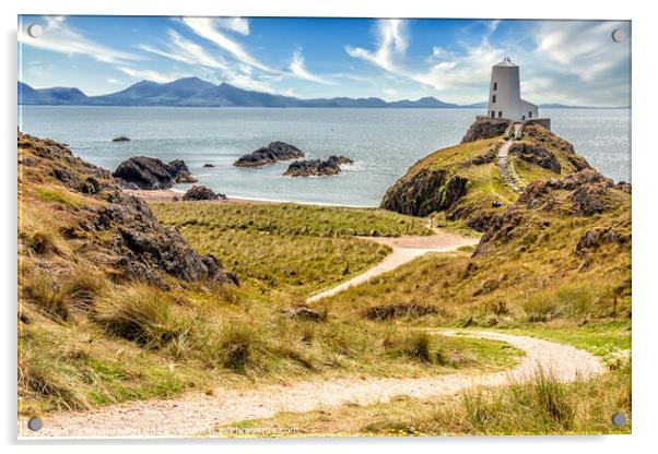 Boundary post and path to Tyw Mawr Lighthouse, Acrylic by Kevin Hellon