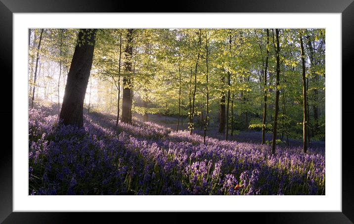 Shades of Blue Framed Mounted Print by David Semmens