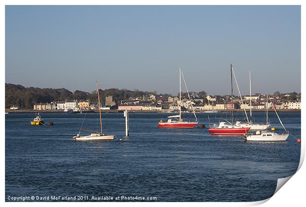 Portaferry, Strangford Lough Print by David McFarland