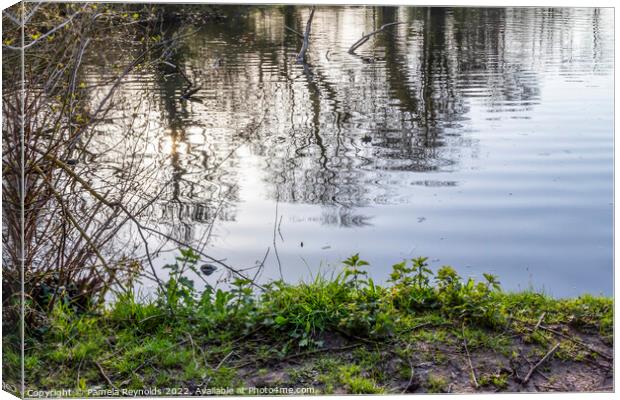 Reflection of Trees on  Wrekin Hill Lake, Telford, Shropshire Canvas Print by Pamela Reynolds