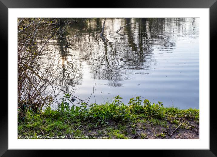 Reflection of Trees on  Wrekin Hill Lake, Telford, Shropshire Framed Mounted Print by Pamela Reynolds