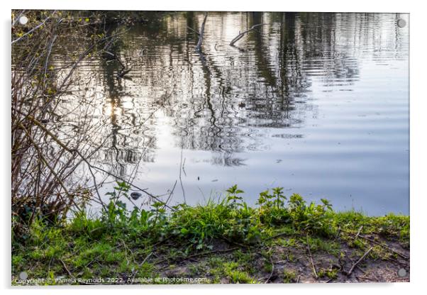 Reflection of Trees on  Wrekin Hill Lake, Telford, Shropshire Acrylic by Pamela Reynolds