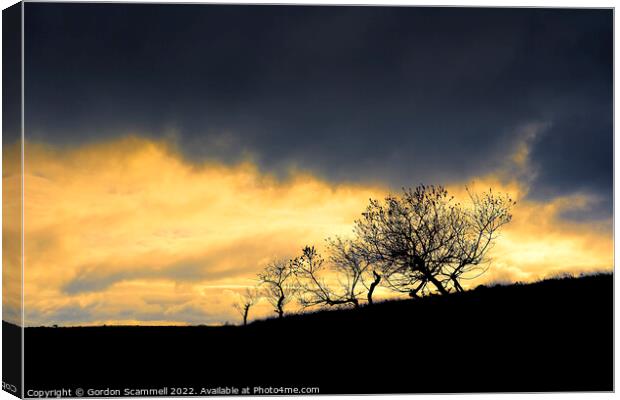 Sunset over the wild Bodmin Moor in Cornwall. Canvas Print by Gordon Scammell