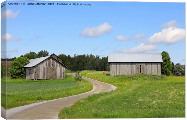 Dirt Road and Country Barns in the  Summer Canvas Print by Taina Sohlman