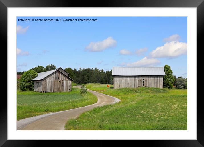 Dirt Road and Country Barns in the  Summer Framed Mounted Print by Taina Sohlman