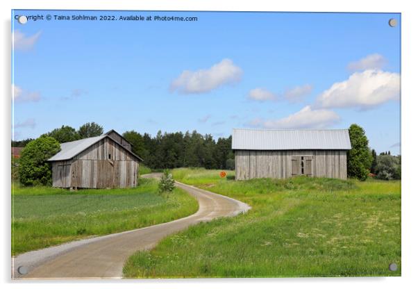 Dirt Road and Country Barns in the  Summer Acrylic by Taina Sohlman