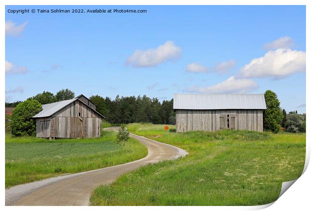 Dirt Road and Country Barns in the  Summer Print by Taina Sohlman