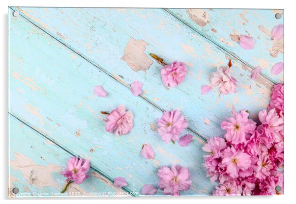 Spring Blossom Acrylic by Drew Gardner