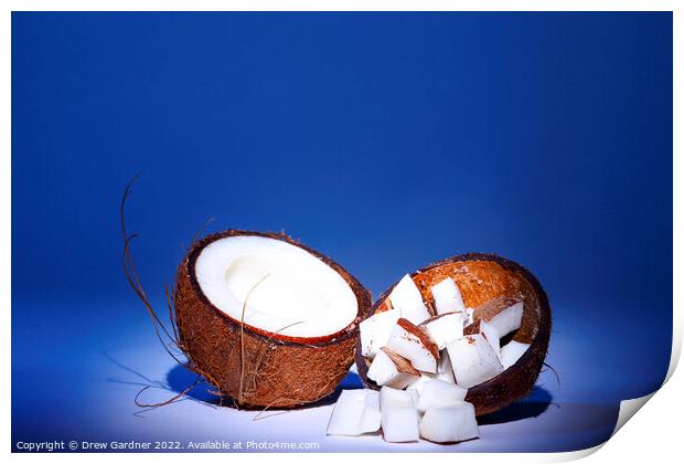 Coconut Print by Drew Gardner