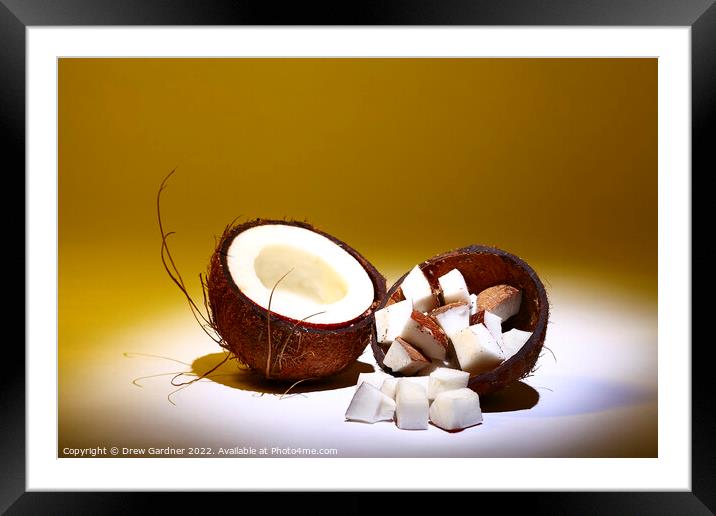 Coconut Framed Mounted Print by Drew Gardner