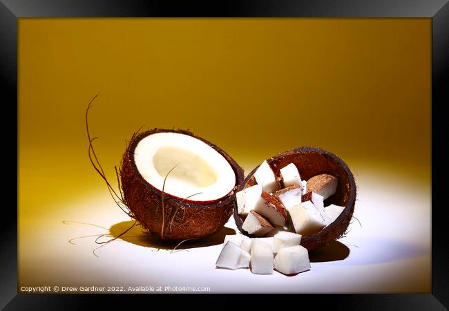 Coconut Framed Print by Drew Gardner