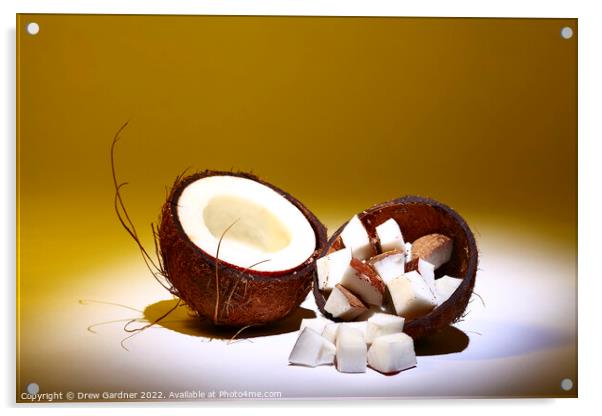 Coconut Acrylic by Drew Gardner
