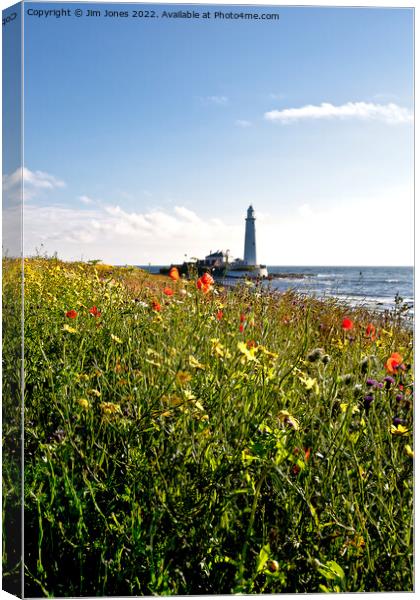 Wild Flowers at St Mary's Island Canvas Print by Jim Jones