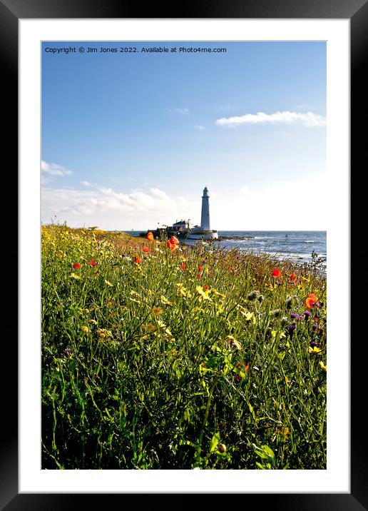 Wild Flowers at St Mary's Island Framed Mounted Print by Jim Jones