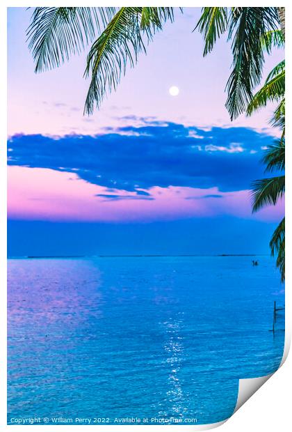 Sunset Evening Moon Reflection Blue Water Moorea Tahiti Print by William Perry
