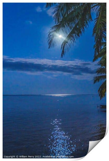 Moon Night Reflection Blue Water Moorea Tahiti Print by William Perry