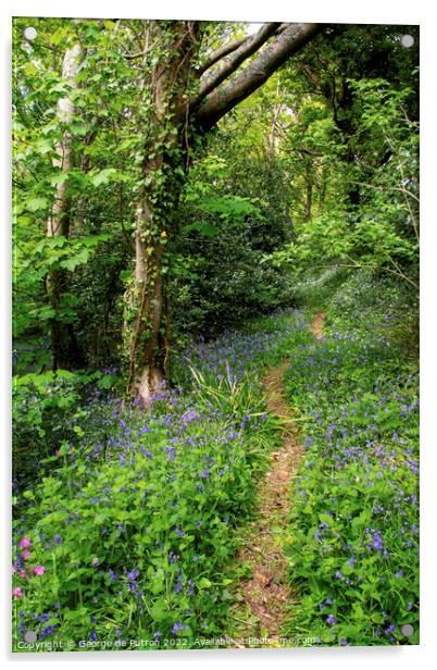 Bluebell Wood Guernsey Acrylic by George de Putron