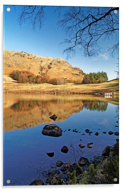 Blea Tarn Lake District Cumbria  Acrylic by Darren Galpin