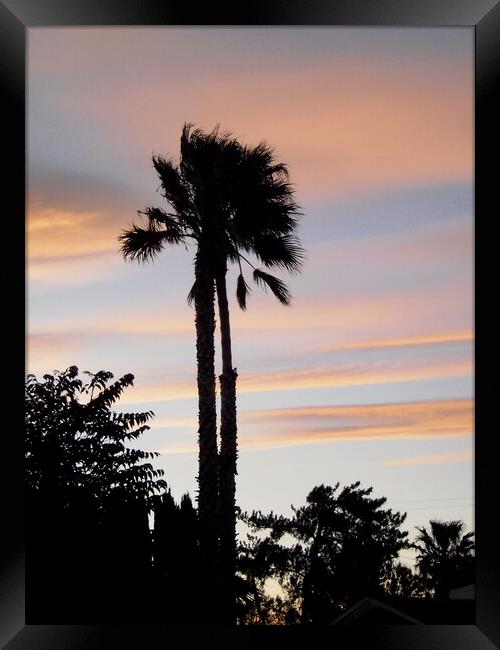 California Sunset Framed Print by Stephanie Moore
