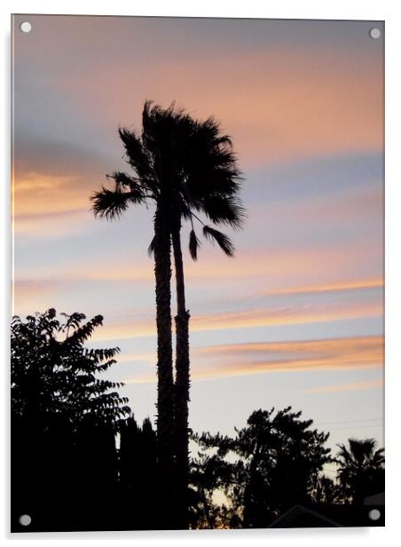 California Sunset Acrylic by Stephanie Moore