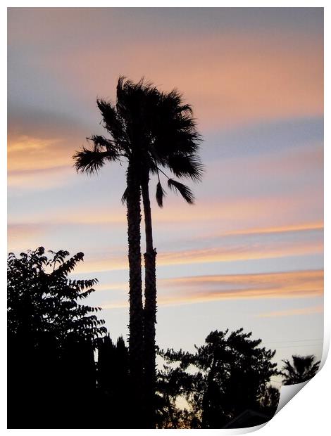 California Sunset Print by Stephanie Moore