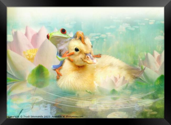  Hitching A Ride Framed Print by Trudi Simmonds