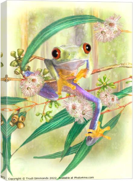 Tree Frog Canvas Print by Trudi Simmonds