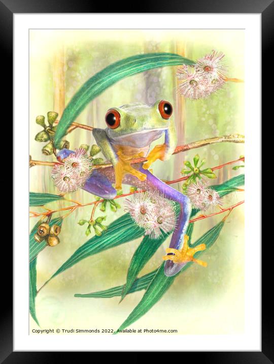 Tree Frog Framed Mounted Print by Trudi Simmonds