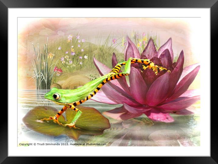 Leap Frog  Framed Mounted Print by Trudi Simmonds