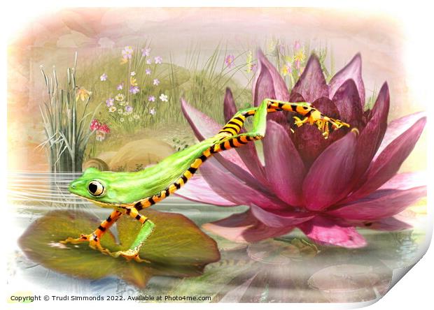 Leap Frog  Print by Trudi Simmonds