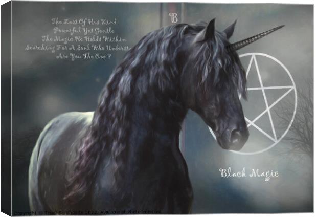 Black Magic Unicorn Canvas Print by Trudi Simmonds