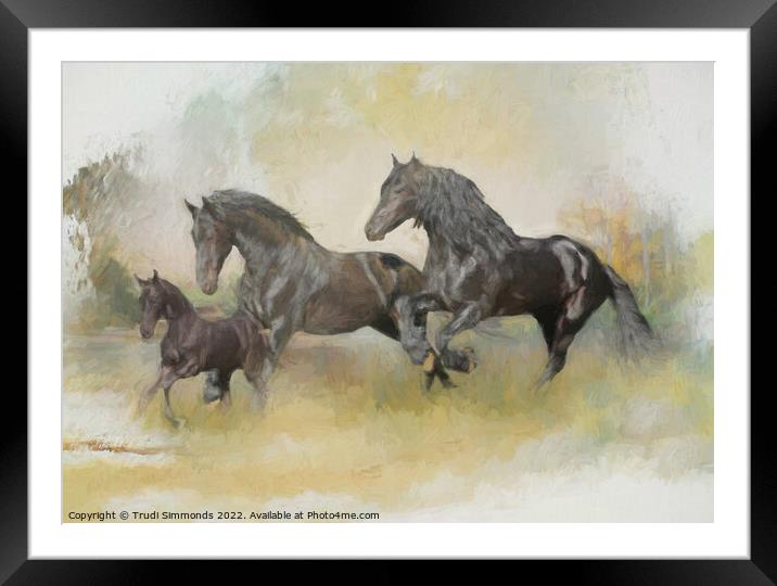 Friesian Family Framed Mounted Print by Trudi Simmonds