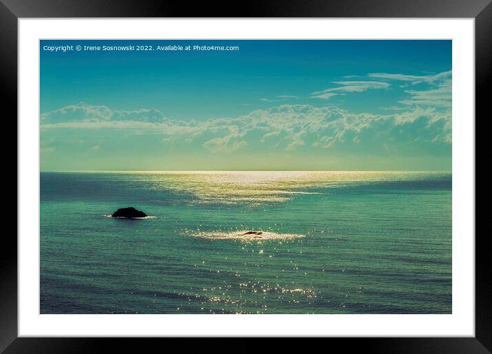 morning light at sea Framed Mounted Print by Irene Sosnowski