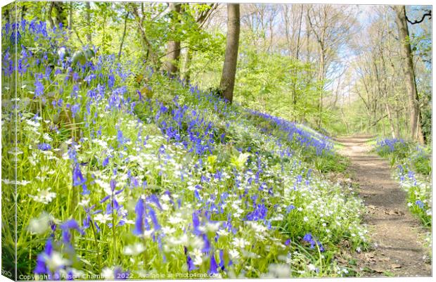 Bluebell and Stitchworts Canvas Print by Alison Chambers